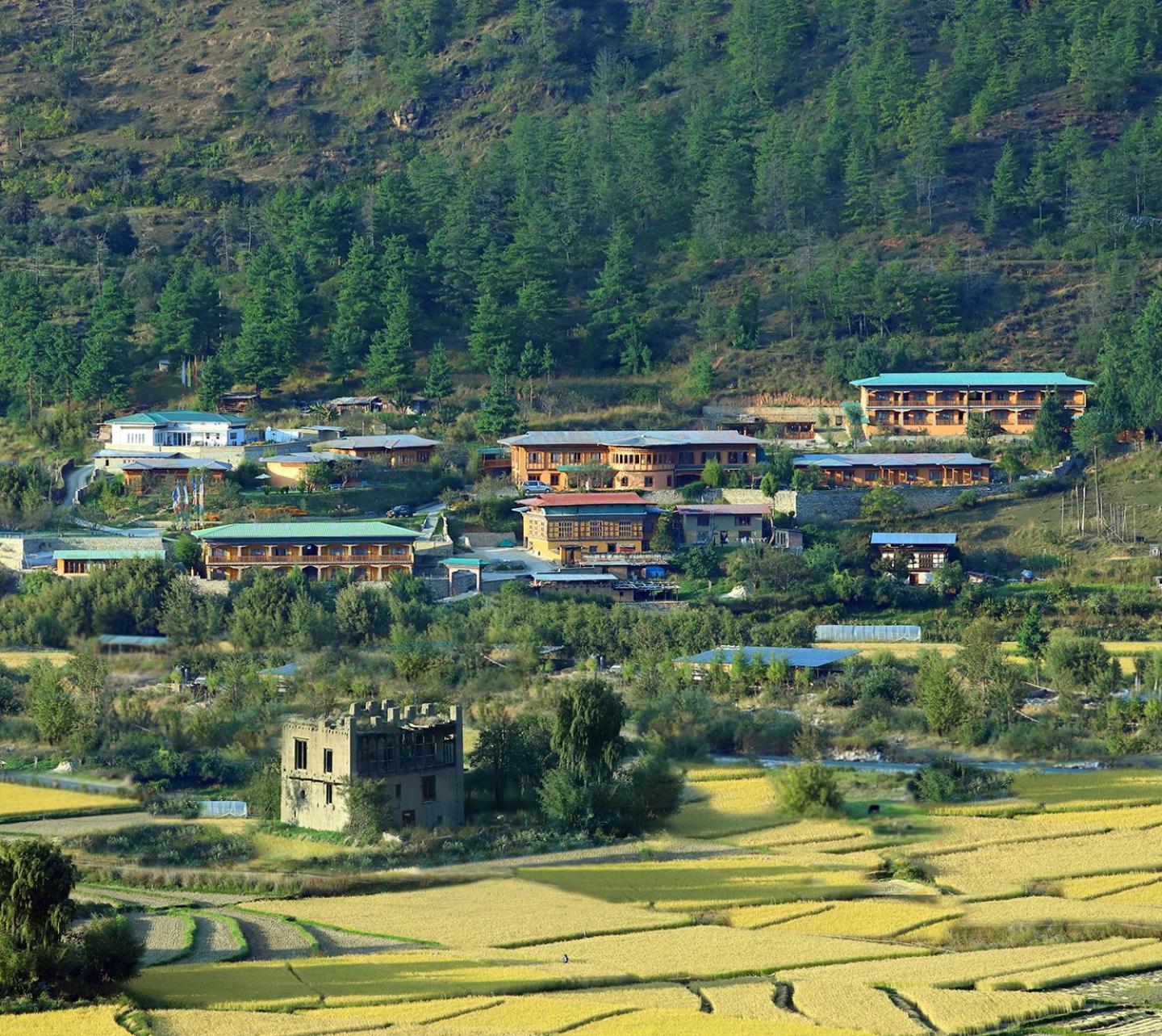 Rema Resort Paro Eksteriør billede